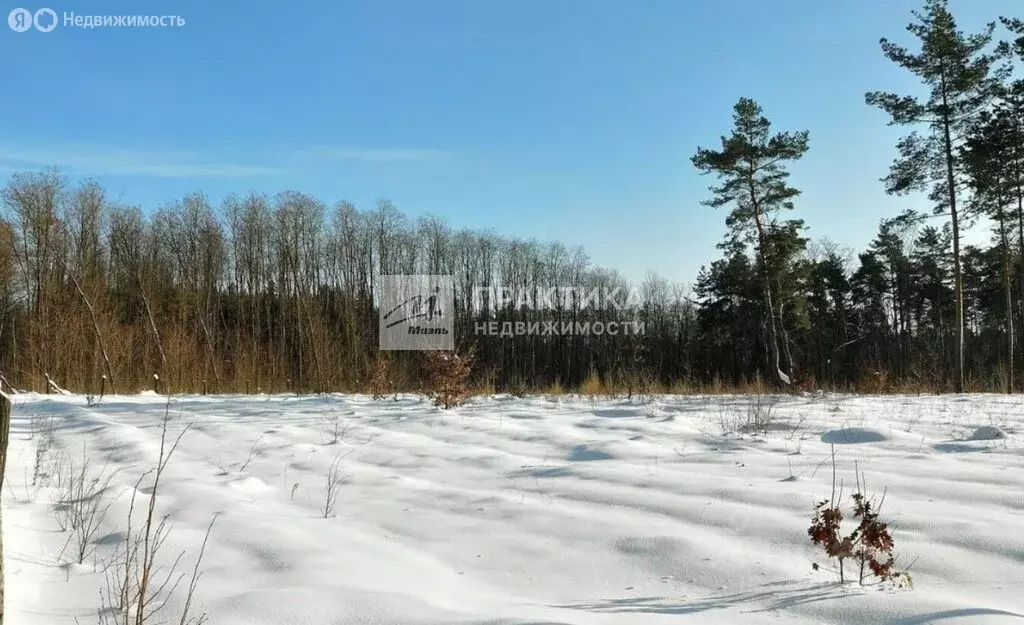 Участок в Московская область, муниципальный округ Истра, деревня ... - Фото 1