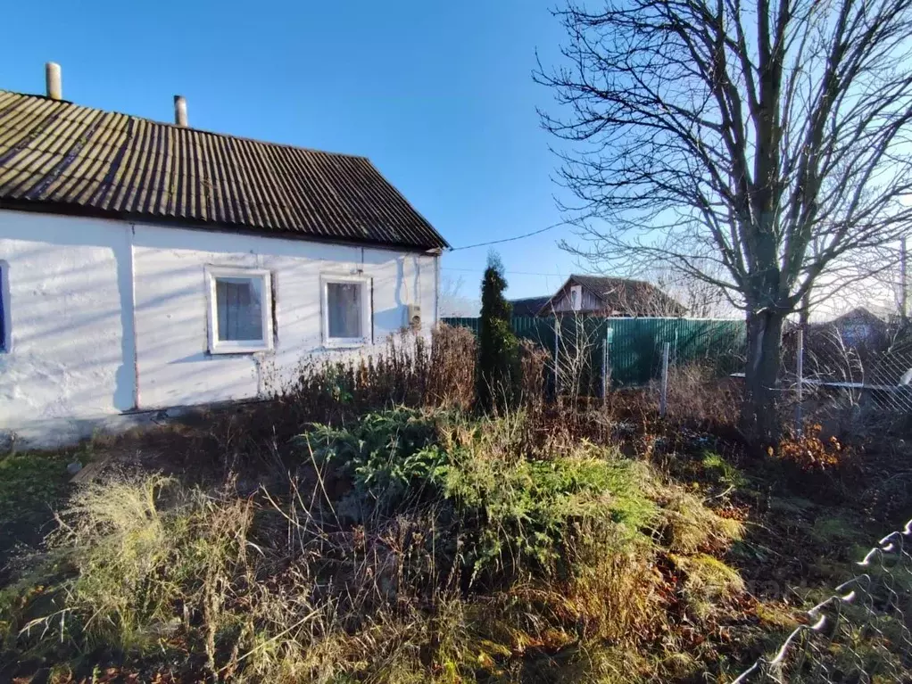 Дом в Воронежская область, Эртильский район, с. Щучье ул. Чапаева, 80 ... - Фото 2