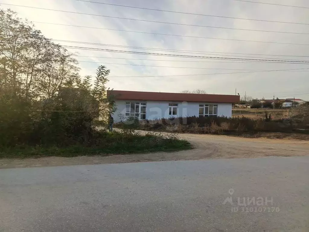Торговая площадь в Крым, Сакский район, Ореховское с/пос, с. Червоное ... - Фото 1