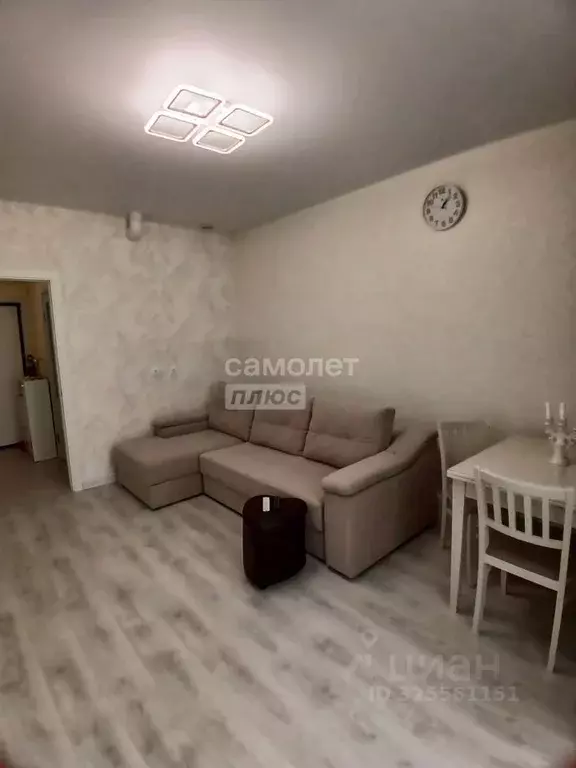 Студия Краснодарский край, Анапа Астраханская ул., 71А (24.5 м) - Фото 1