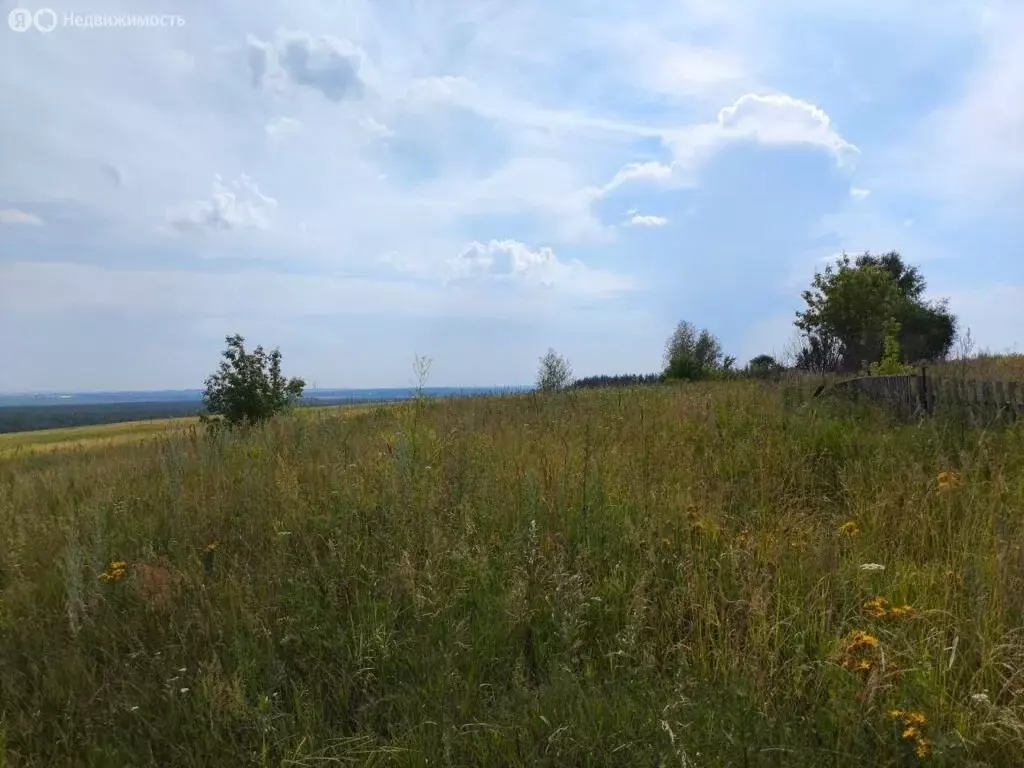 Участок в Румянцево, Зелёная улица, 16 (16 м) - Фото 1