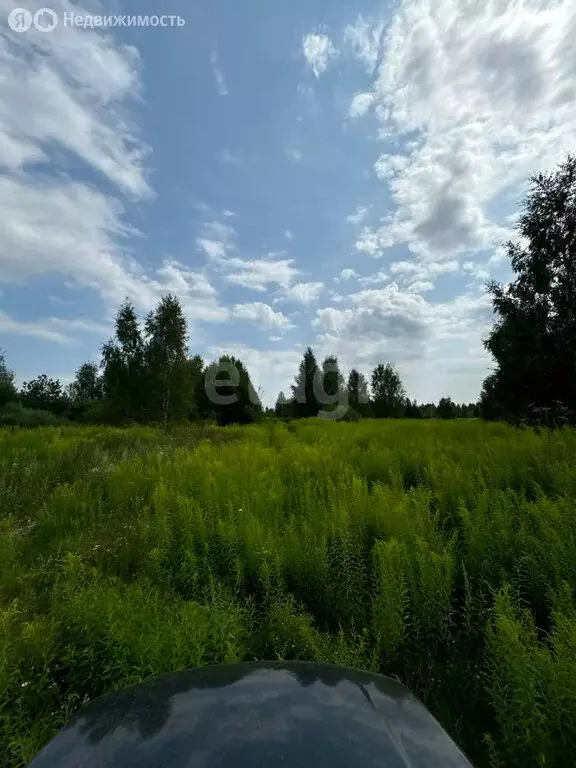 Участок в Нижегородская область, Городецкий муниципальный округ, ... - Фото 0