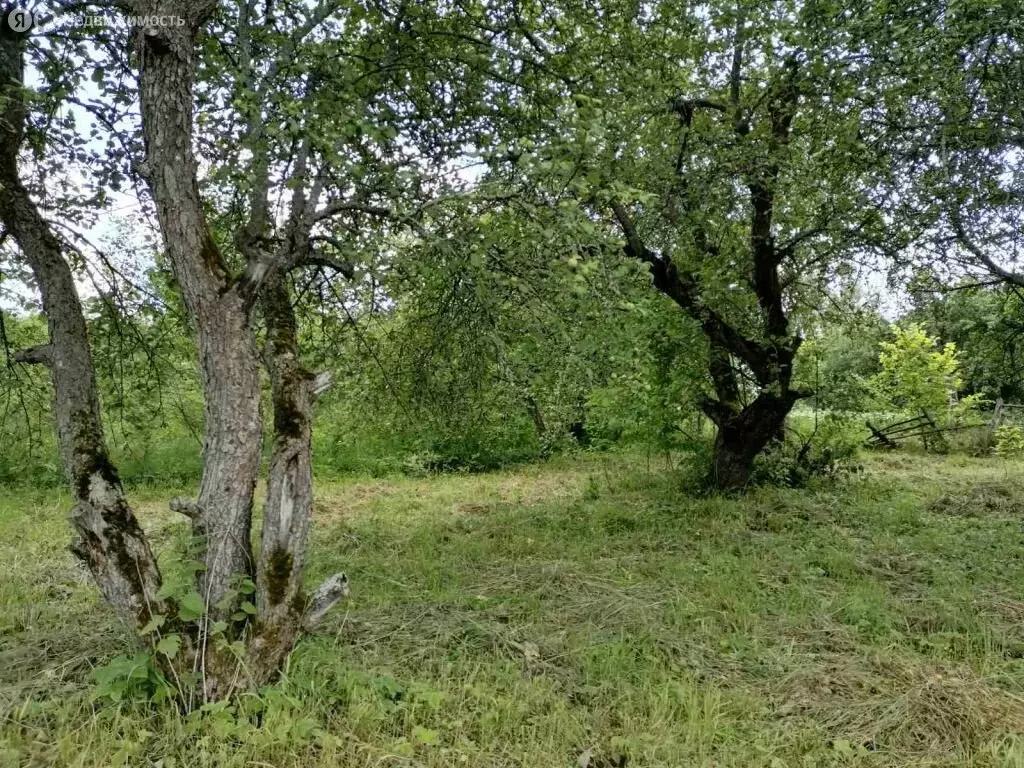 Дом в Нижегородская область, Павловский муниципальный округ, деревня ... - Фото 1