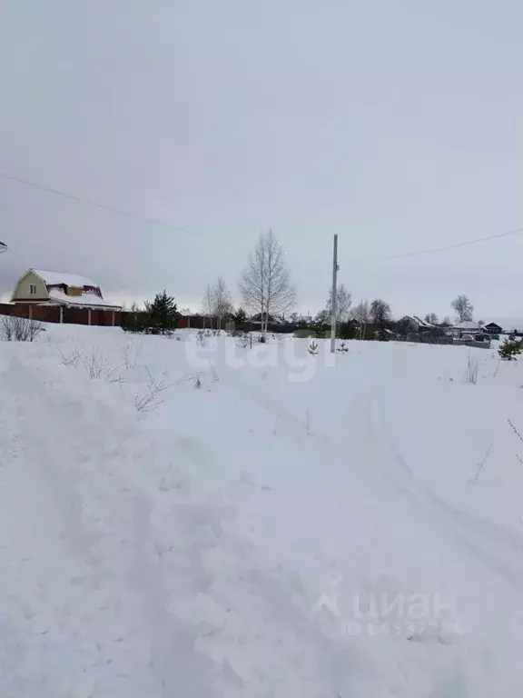 Участок в Нижегородская область, Выкса городской округ, Досчатое рп ... - Фото 0