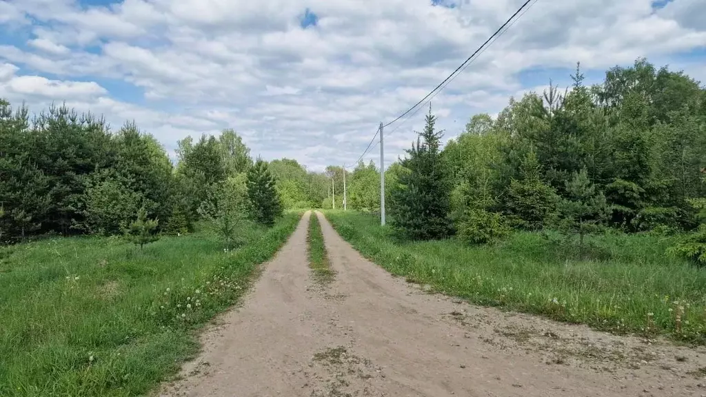 Участок в Владимирская область, Александровский район, д. Сорокино  ... - Фото 1