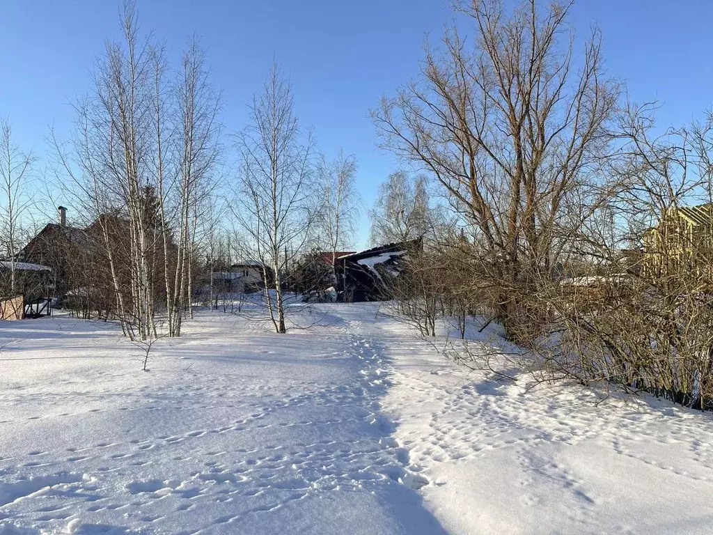 Участок в Московская область, Электросталь городской округ, д. Есино ... - Фото 0