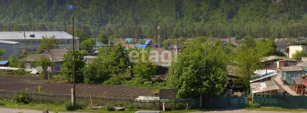 Дом в Алтай, Чемальский район, с. Чепош Трактовая ул. (110 м) - Фото 0