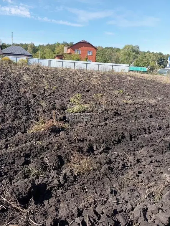 Участок в Липецкая область, Добровский муниципальный округ, с. ... - Фото 2