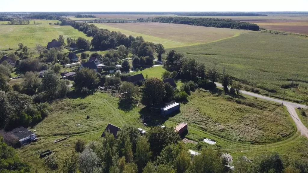 Участок в Калининградская область, Полесский муниципальный округ, пос. ... - Фото 2