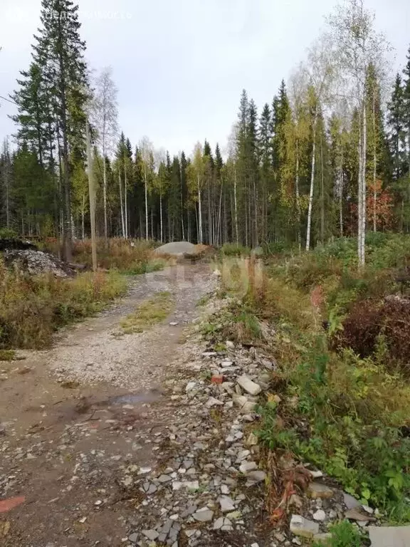 Участок в посёлок городского типа Шудаяг, Лесная улица (21.8 м) - Фото 0