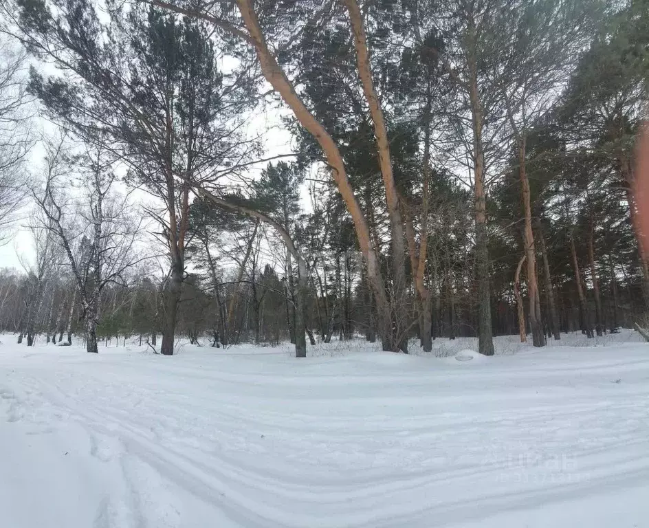 Участок в Кемеровская область, Кемеровский муниципальный округ, с. ... - Фото 0