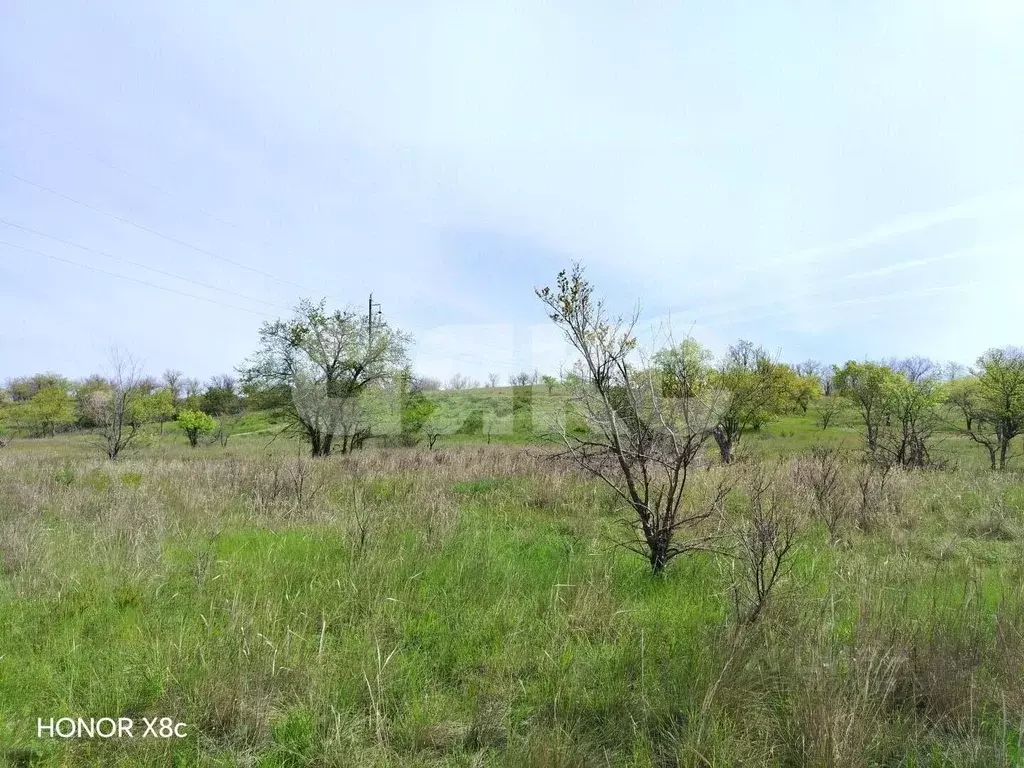 Участок в Волгоградская область, Городищенский район, Царицынское ... - Фото 2