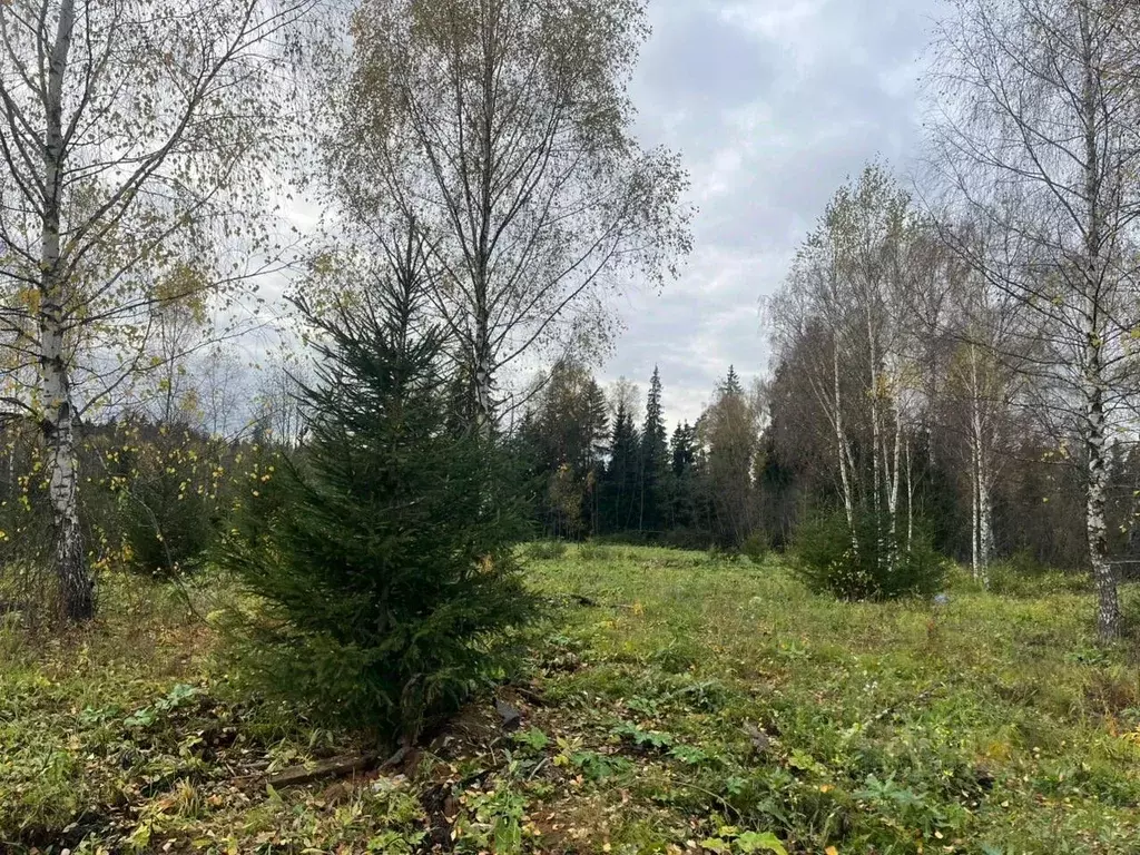 Участок в Московская область, Солнечногорск городской округ, д. ... - Фото 1