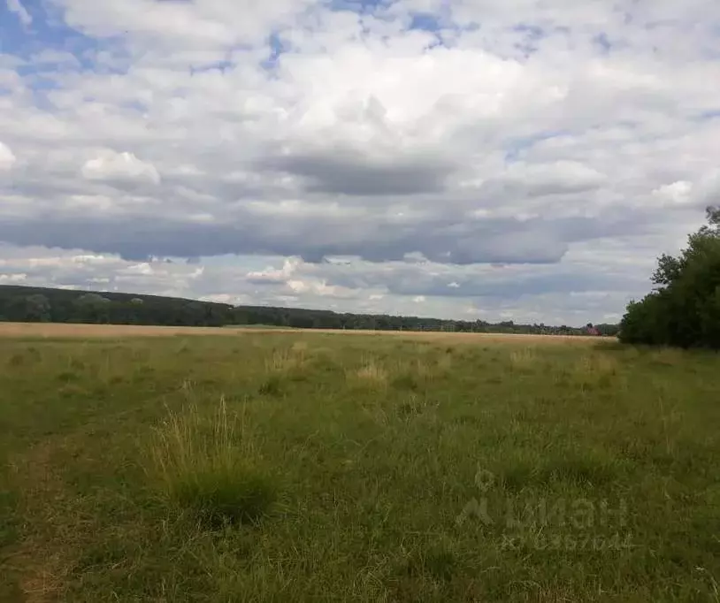 Участок в Белгородская область, Белгородский район, Беловское с/пос, ... - Фото 0