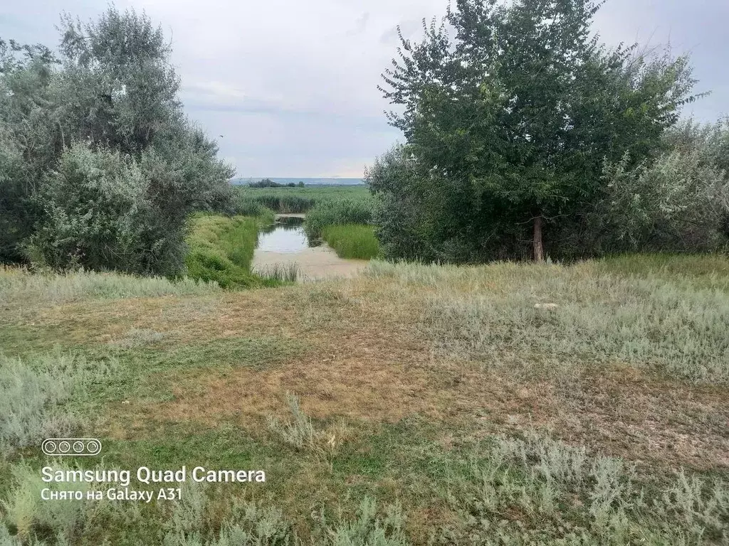 Погода в подгорном энгельсского. Подгорное Саратовская область. Село Подгорное Саратовская. Энгельский р он с Подгорное фермерство Вадима