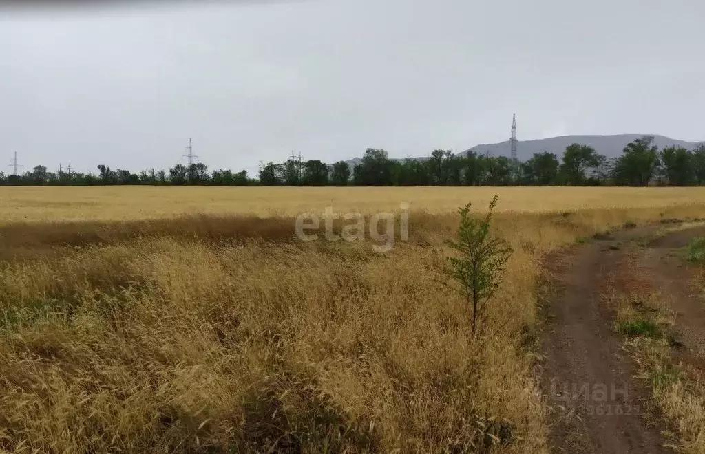 Участок в Крым, Кировский район, с. Приветное ул. Золотой ключ (358.3 ... - Фото 1