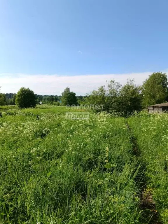 Участок в Вологодская область, Кирилловский муниципальный округ, д. ... - Фото 1