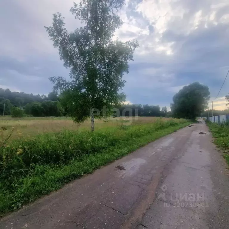 Участок в Калужская область, Боровский район, Совьяки с/пос, д. Сатино ... - Фото 2