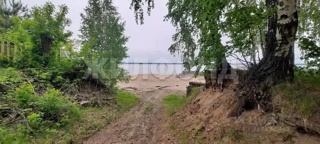 Участок в Новосибирская область, Ордынский район, с. Нижнекаменка ... - Фото 0
