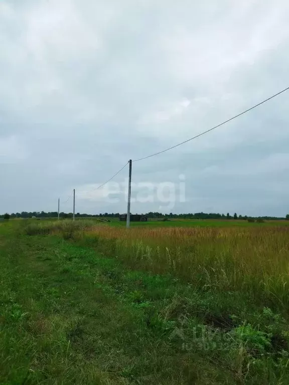 Участок в Марий Эл, Йошкар-Ола городской округ, д. Шоя-Кузнецово ул. ... - Фото 0