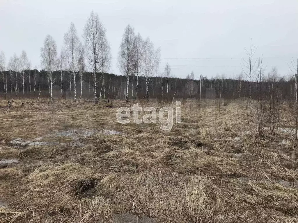 Участок 10 сот. (ИЖС) - Фото 0
