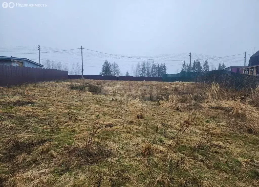 Участок в Выборгский район, Рощинское городское поселение, территория ... - Фото 1