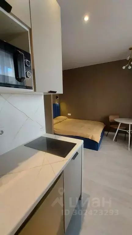 Студия Московская область, Люберцы городской округ, д. Островцы ул. ... - Фото 2