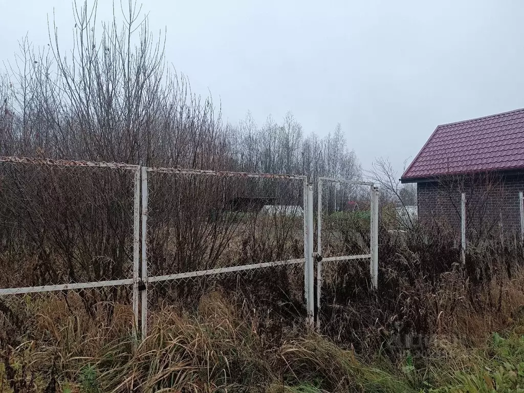 Участок в Новгородская область, Новгородский район, Ермолинское с/пос, ... - Фото 1