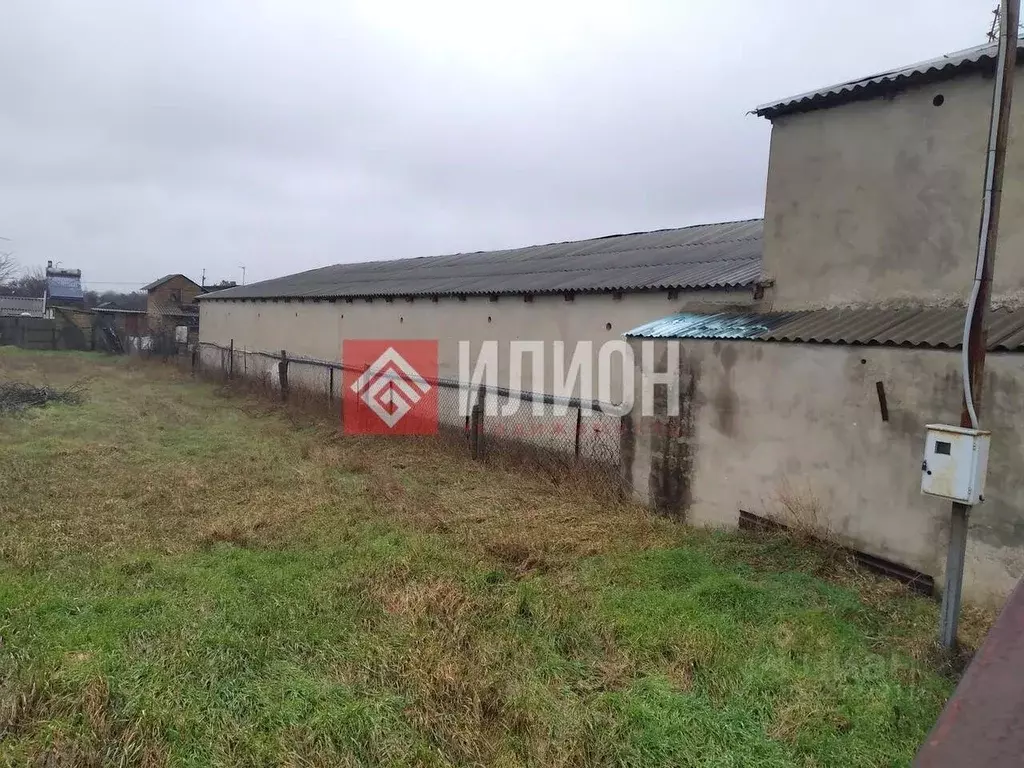 Участок в Крым, Симферопольский район, Николаевка пгт пер. Курортный, ... - Фото 2