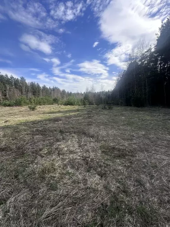 Участок в Московская область, Богородский городской округ, с. Стромынь ... - Фото 1