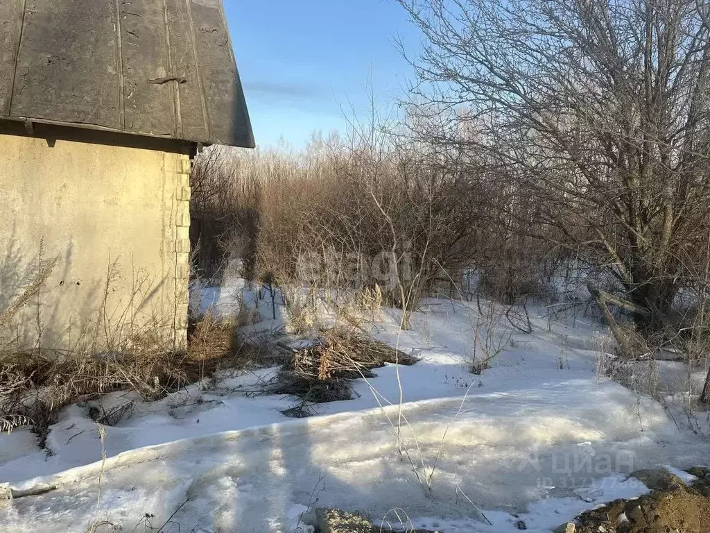 Участок в Амурская область, Благовещенский район, с. Чигири ул. ... - Фото 0