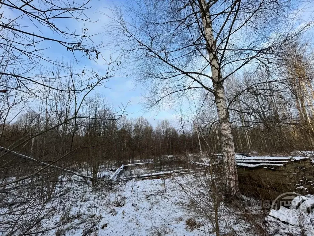 Участок в Ленинградская область, Лужский район, Заклинское с/пос, д. ... - Фото 2
