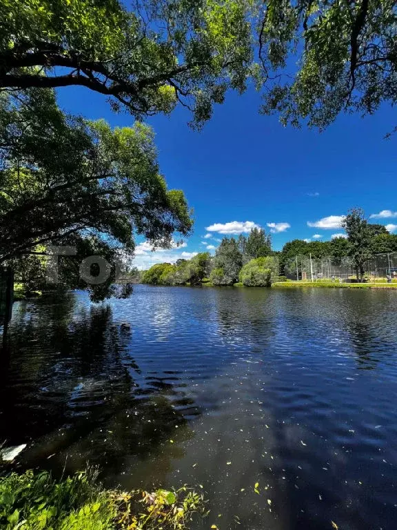 Продается 1-комнатная квартира - Фото 2