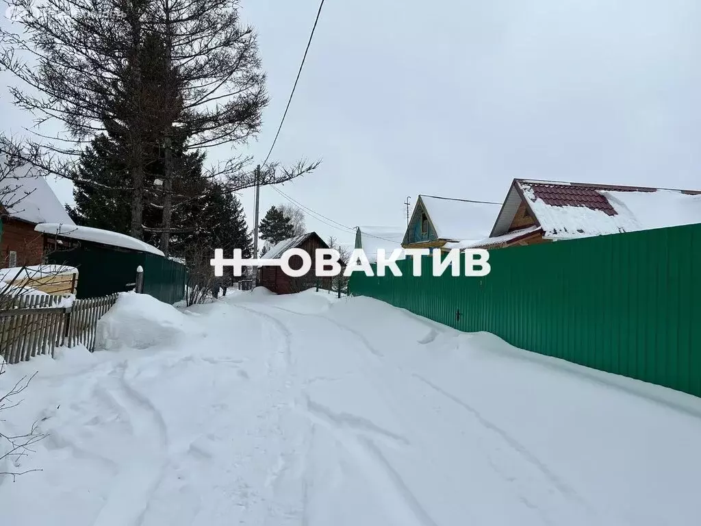 Дом в Колыванский район, СНТ Электрон, Весёлая улица, 35 (50 м) - Фото 1