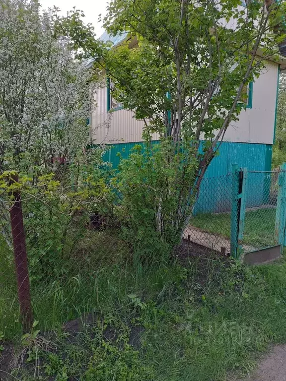 Участок в Башкортостан, Чишминский район, Алкинский сельсовет, ... - Фото 2