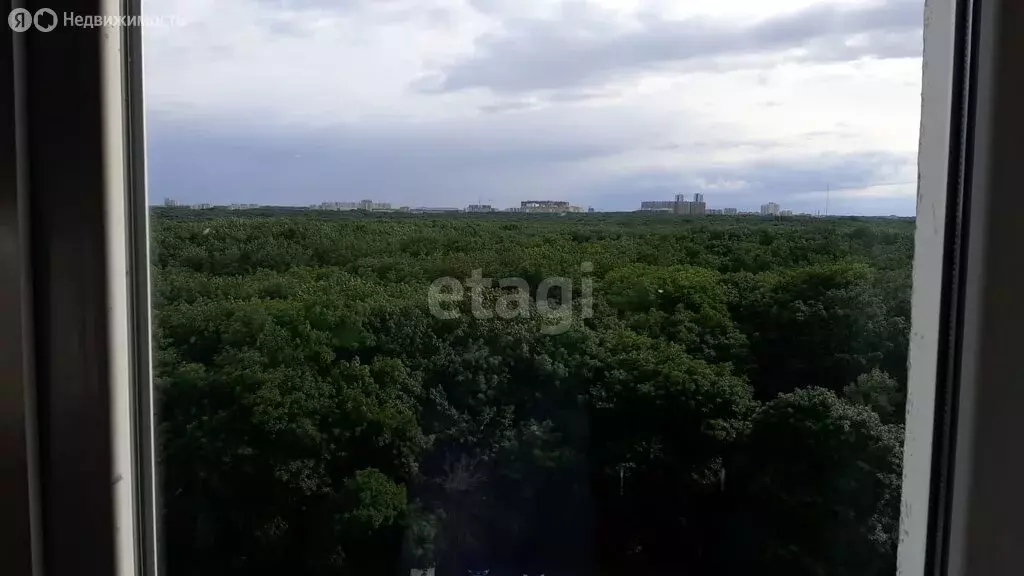 4-комнатная квартира: Ставрополь, улица Васякина, 127 (65 м) - Фото 1