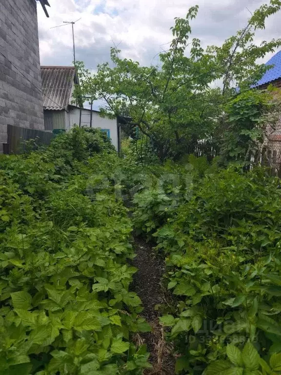 Дом в Самарская область, Самара Болотная ул., 30 (30 м) - Фото 1