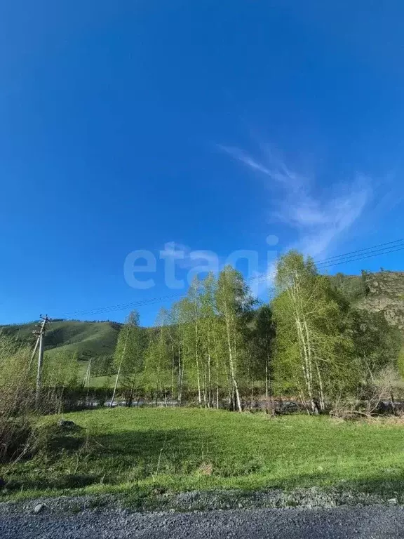 Участок в Алтай, Усть-Коксинский район, с. Горбуново  (113.0 сот.) - Фото 1