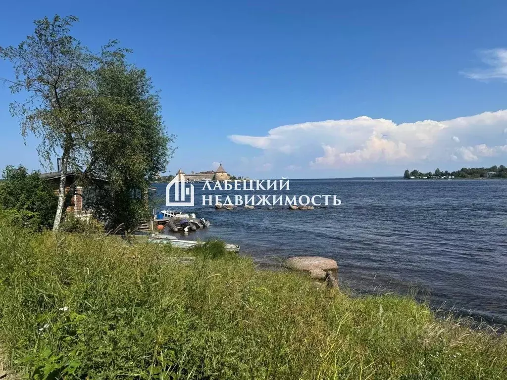 Участок в Ленинградская область, Всеволожский район, Морозовское ... - Фото 0