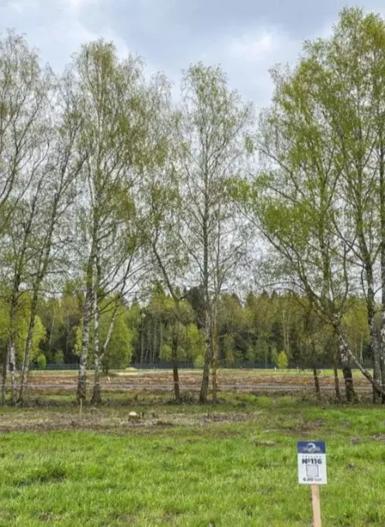 Участок в Московская область, Чехов муниципальный округ, д. Алачково  ... - Фото 2
