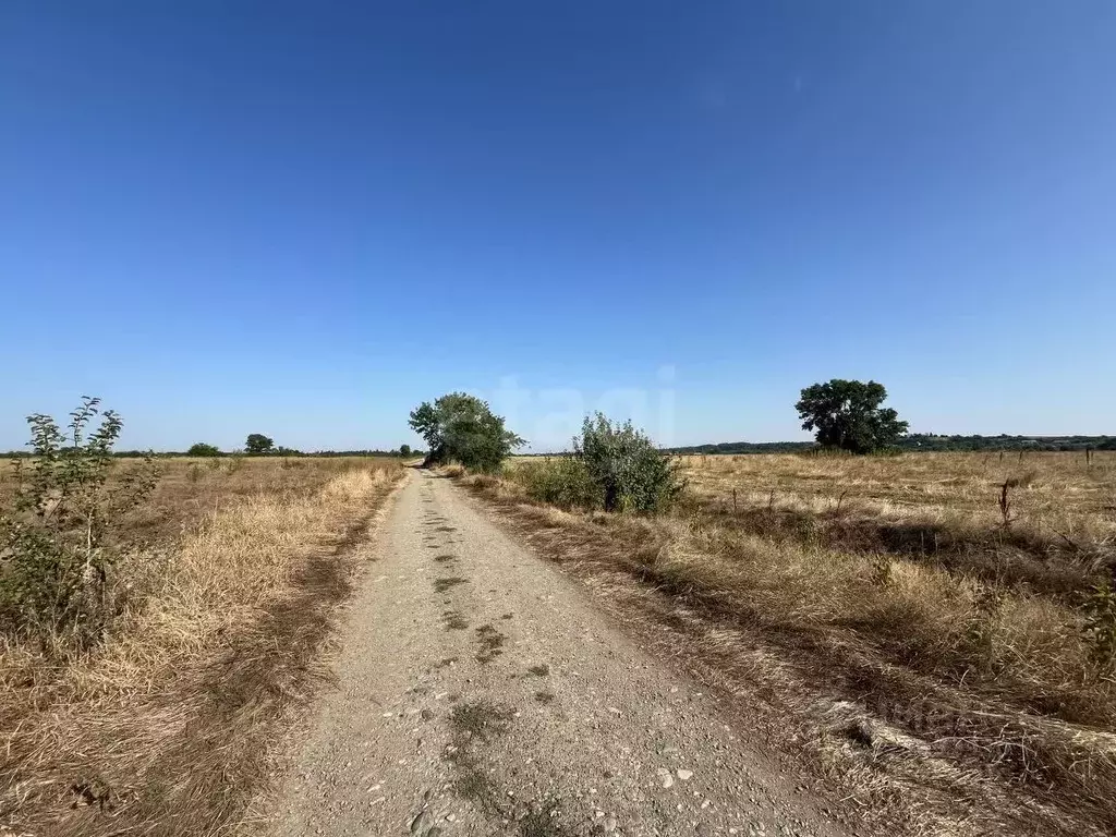 Участок в Адыгея, Майкоп городской округ, пос. Северный ул. Школьная ... - Фото 1