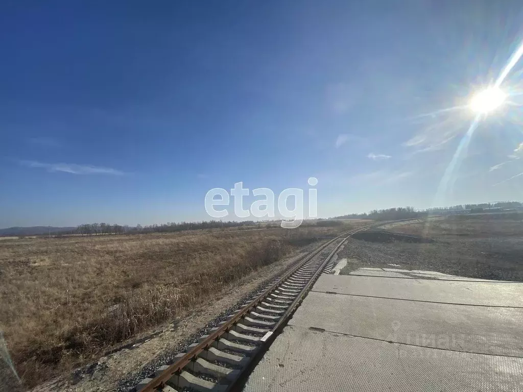 Участок в Амурская область, Свободненский район, с. Усть-Пера  (5376.2 ... - Фото 1