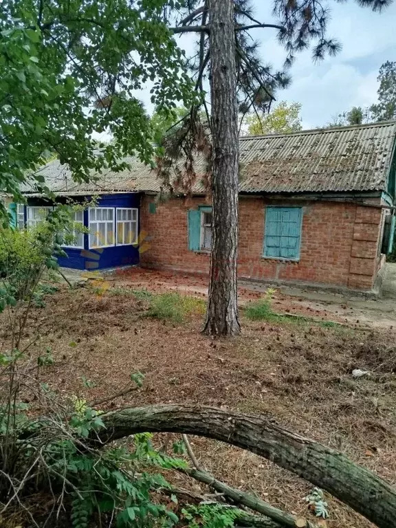 Дом в Краснодарский край, Щербиновский район, Шабельское с/пос, с. ... - Фото 1