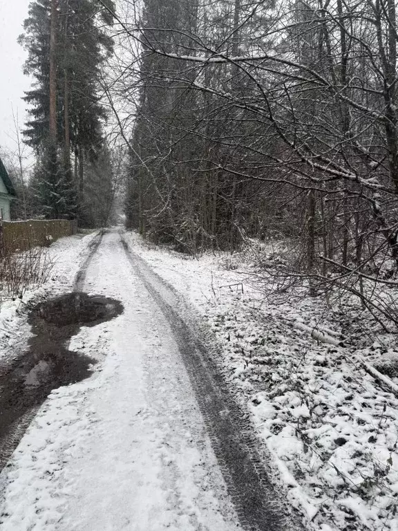 Участок в Ленинградская область, Гатчинский муниципальный округ, ... - Фото 0