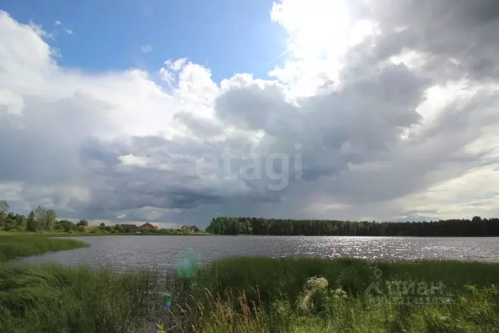 Участок в Вологодская область, Череповецкий район, д. Романово ... - Фото 1