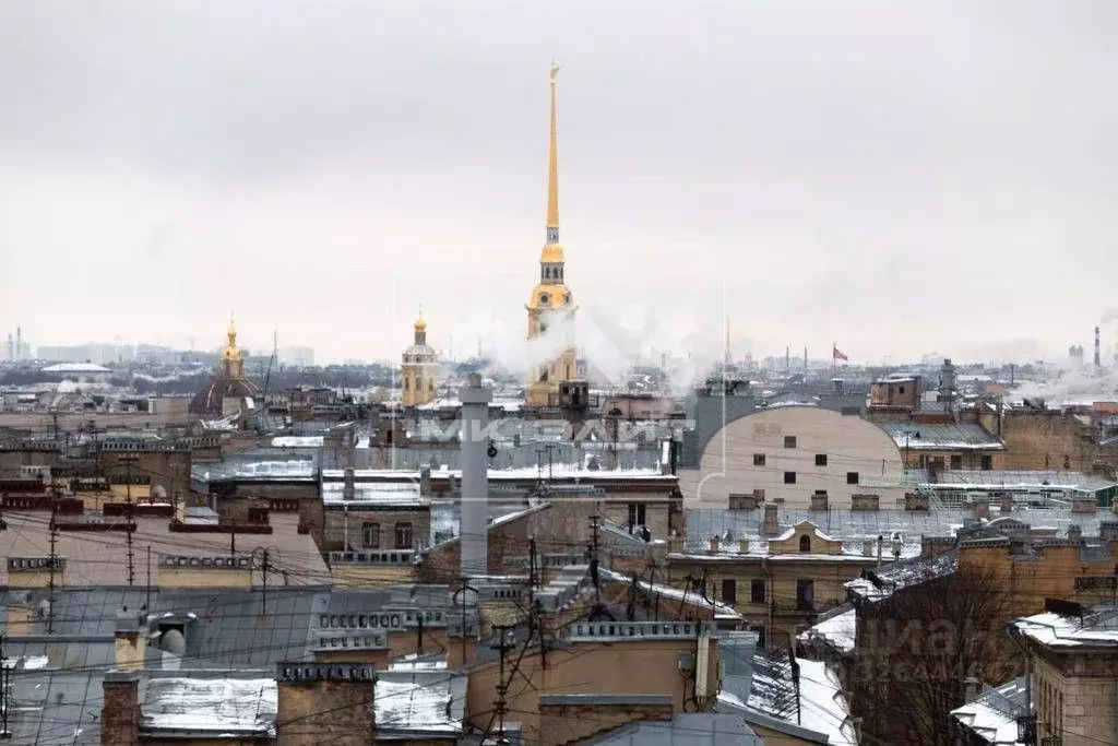 3-к кв. Санкт-Петербург ул. Большая Зеленина, 8к2 (110.0 м) - Фото 1