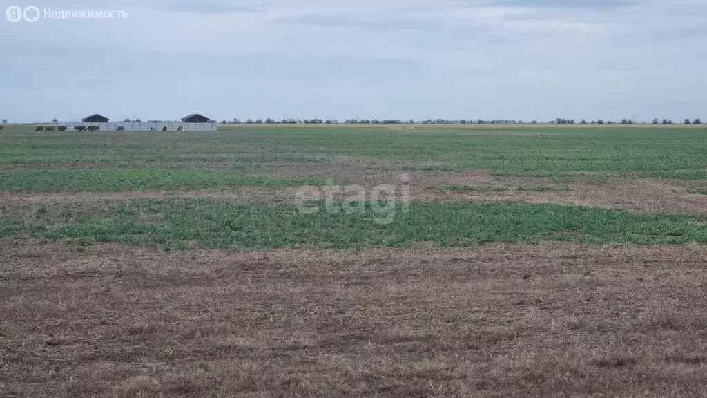 Участок в село Молочное, улица Дружбы (6 м) - Фото 0