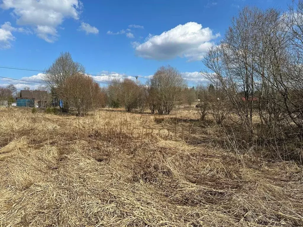 Участок в Ленинградская область, Выборгский район, Рощинское городское ... - Фото 1