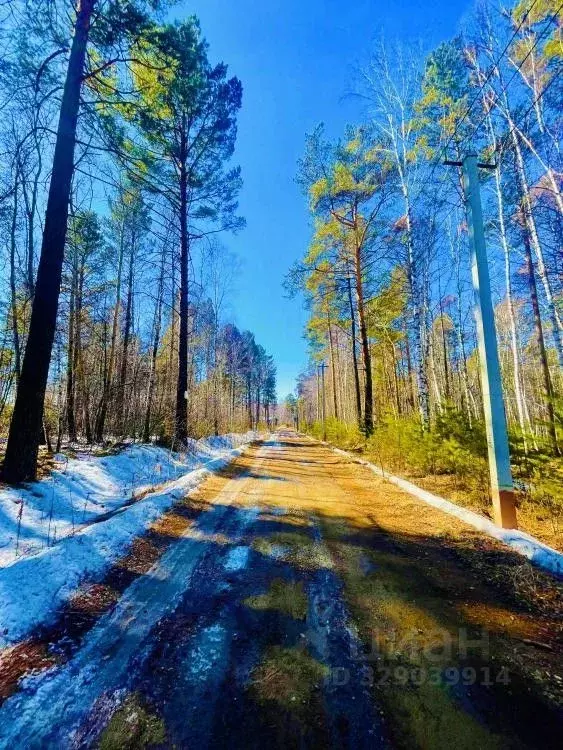 Участок в Иркутская область, Иркутск  (15.0 сот.) - Фото 1