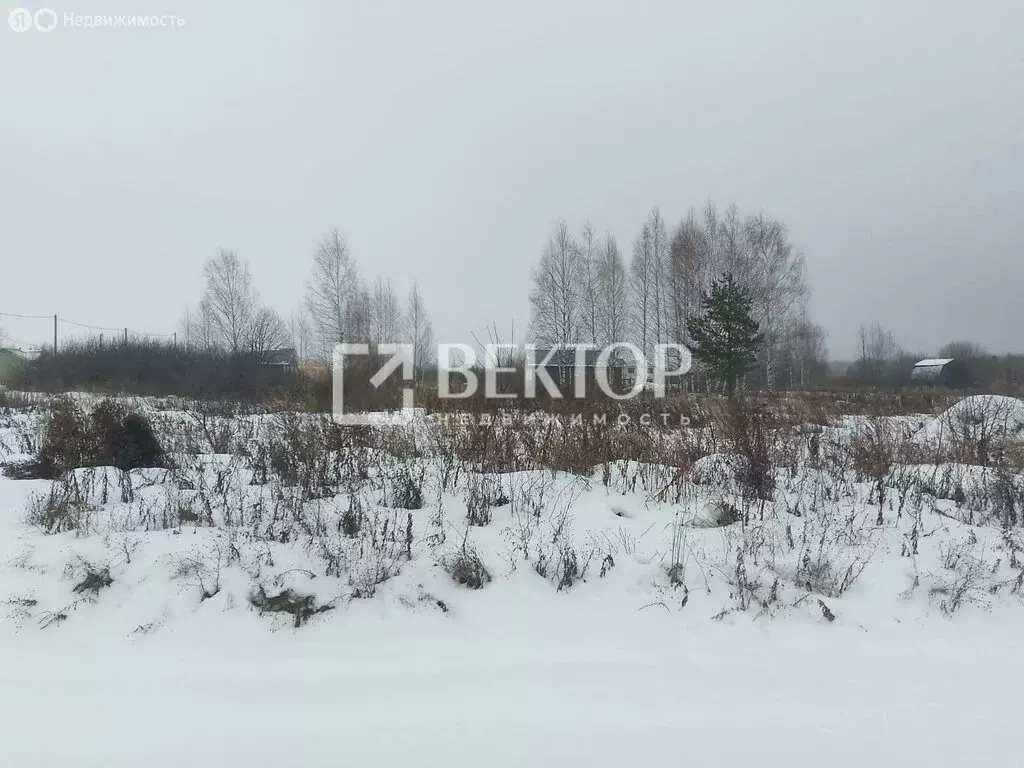 Участок в Судиславский район, Расловское сельское поселение, деревня ... - Фото 0